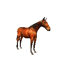 Cheval se cabrant