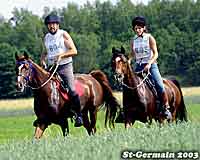 Desert K&eacute;phri & Infinitif du Creuse - St Germain 2003 - 60 km 